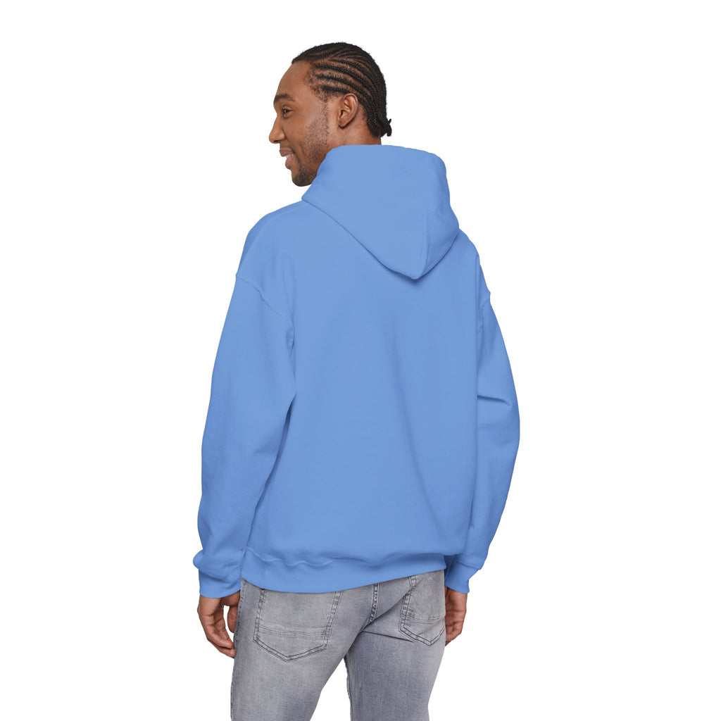 U.S. Air Force Tribute Hoodie | Intuition Within